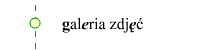 kompozycje kwiatowe łódź