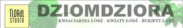 kwiaciarnia d, kwiaty d, bukiety d - floral studio